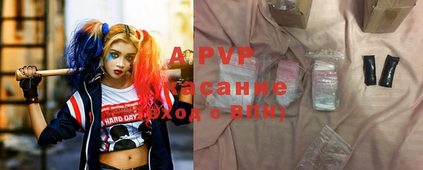 стаф Баксан