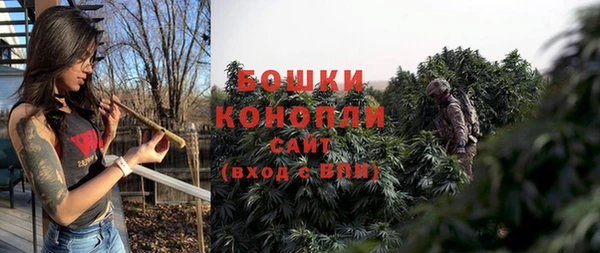 стаф Баксан