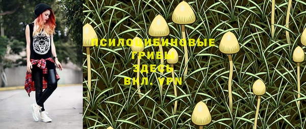 шишки Переславль-Залесский