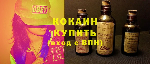 шишки Переславль-Залесский