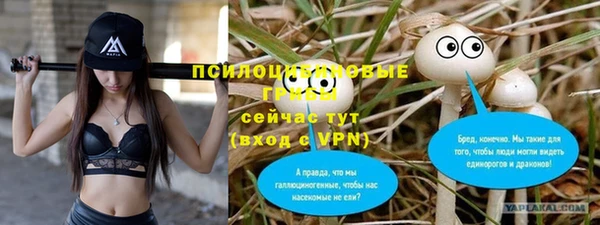 шишки Переславль-Залесский