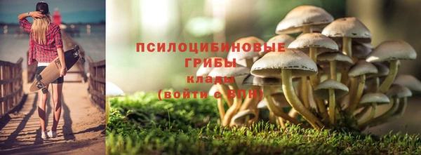 стаф Баксан