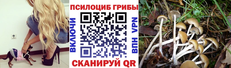 Галлюциногенные грибы Cubensis  Соликамск 
